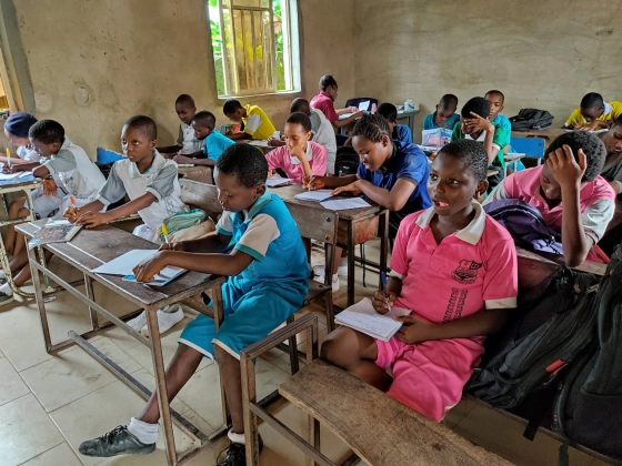 Negation and Marking Strategies in the Ozubulu Dialect of Igbo